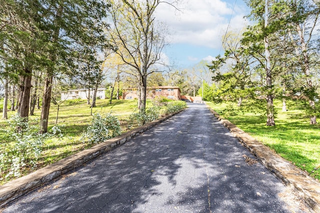 view of road with aphalt driveway