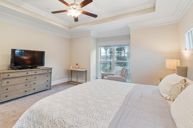 118 Newnham Bridge Dr, Nolensville, TN 37135 - bedroom featuring a tray ceiling, carpet floors, and multiple windows