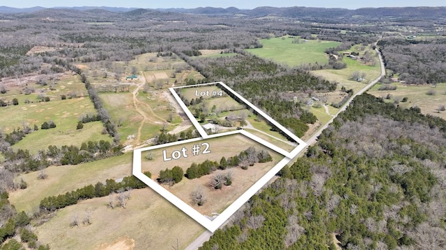 birds eye view of property featuring a mountain view and a rural view