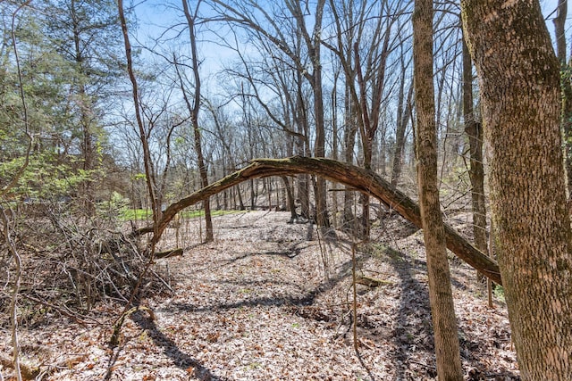 12112 Paw Paw Springs Rd, Arrington, TN 37014 - view of landscape
