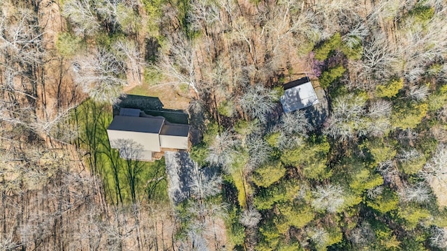 12112 Paw Paw Springs Rd, Arrington, TN 37014 - drone / aerial view with a view of trees