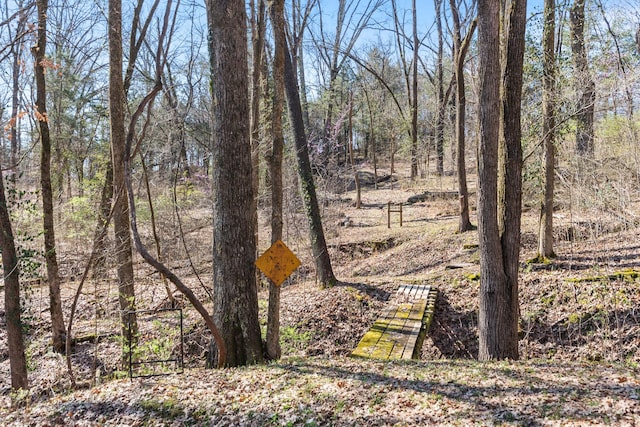 12112 Paw Paw Springs Rd, Arrington, TN 37014 - view of local wilderness