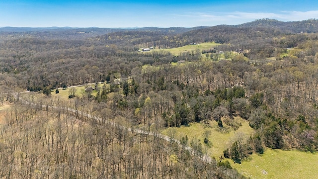 12112 Paw Paw Springs Rd, Arrington, TN 37014 - drone / aerial view featuring a mountain view and a view of trees