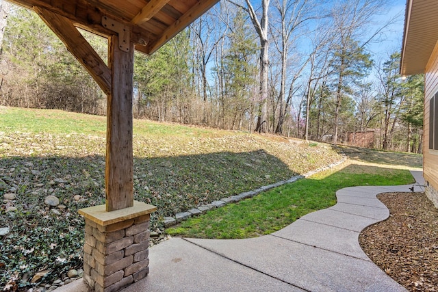 12112 Paw Paw Springs Rd, Arrington, TN 37014 - view of yard