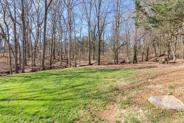 12112 Paw Paw Springs Rd, Arrington, TN 37014 - view of yard