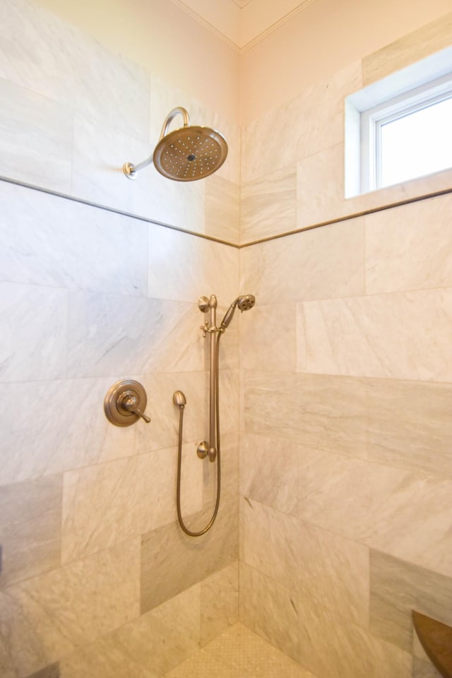1395 Rozella Way, Gallatin, TN 37066 - bathroom with a tile shower