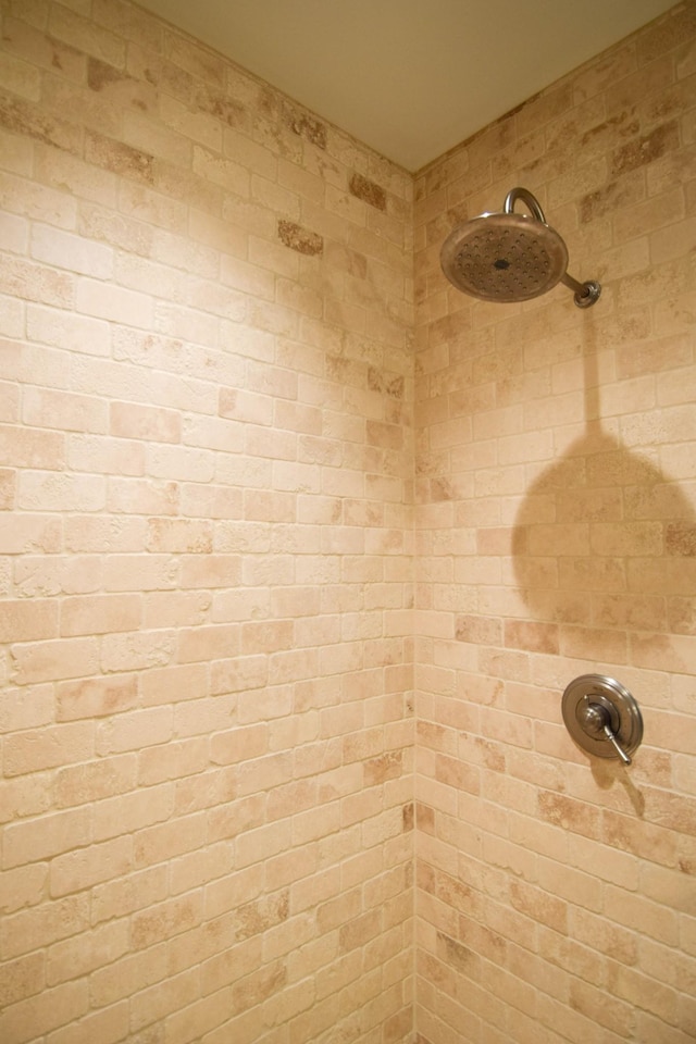 1395 Rozella Way, Gallatin, TN 37066 - details featuring tiled shower