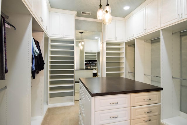1395 Rozella Way, Gallatin, TN 37066 - spacious closet with light carpet and visible vents