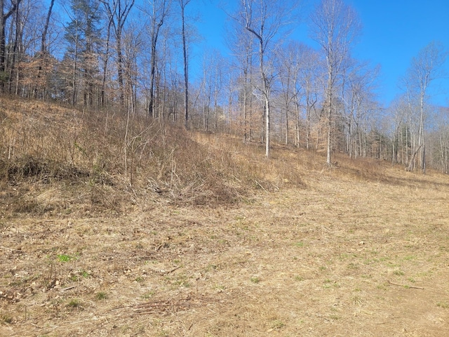 0 Reddon Xing, Charlotte, TN 37036 - photo 51