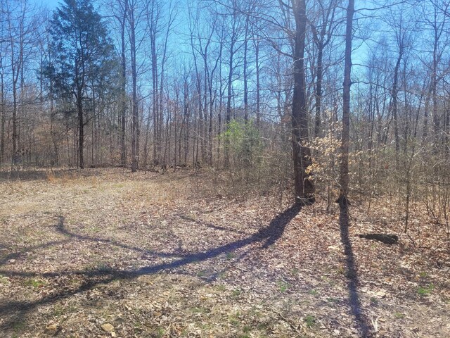 0 Reddon Xing, Charlotte, TN 37036 - photo 72