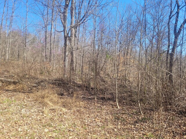 0 Reddon Xing, Charlotte, TN 37036 - photo 70