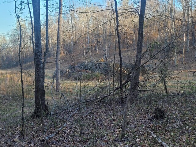 0 Reddon Xing, Charlotte, TN 37036 - photo 80