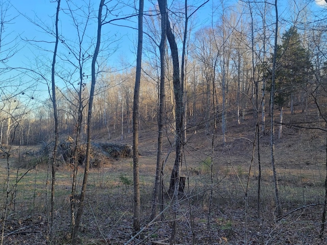0 Reddon Xing, Charlotte, TN 37036 - photo 82