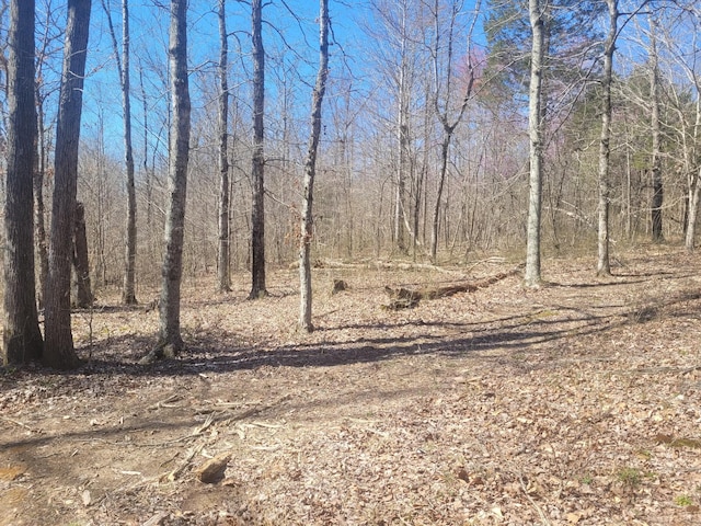 0 Reddon Xing, Charlotte, TN 37036 - photo 60