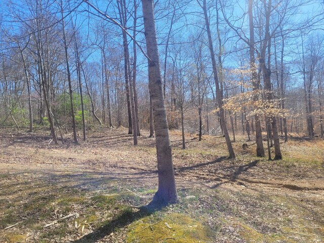 0 Reddon Xing, Charlotte, TN 37036 - photo 78