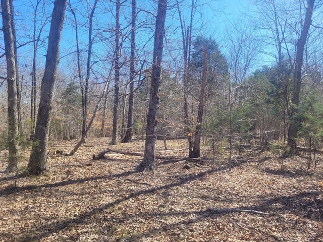 0 Reddon Xing, Charlotte, TN 37036 - photo 56