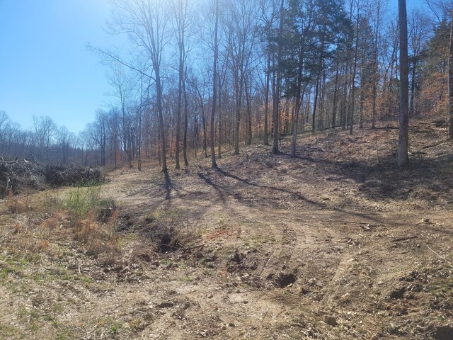 0 Reddon Xing, Charlotte, TN 37036 - photo 46