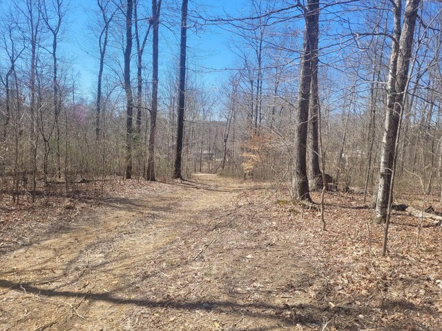 0 Reddon Xing, Charlotte, TN 37036 - photo 74