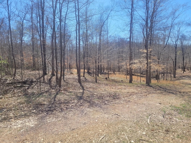 0 Reddon Xing, Charlotte, TN 37036 - photo 76