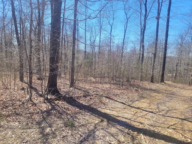 0 Reddon Xing, Charlotte, TN 37036 - photo 73