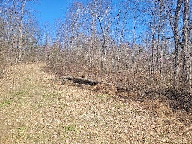 0 Reddon Xing, Charlotte, TN 37036 - photo 69