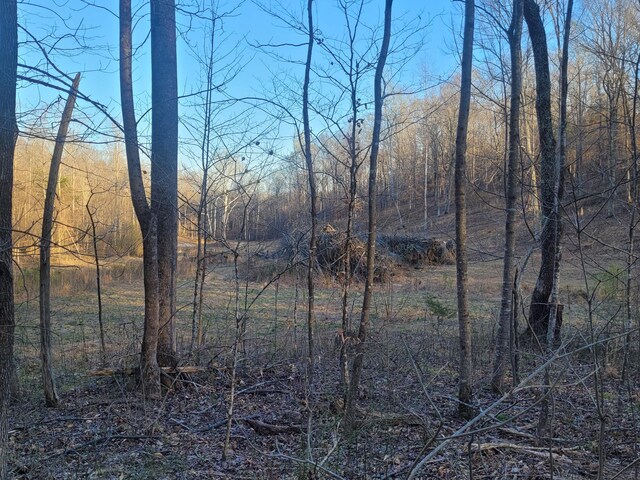 0 Reddon Xing, Charlotte, TN 37036 - photo 83