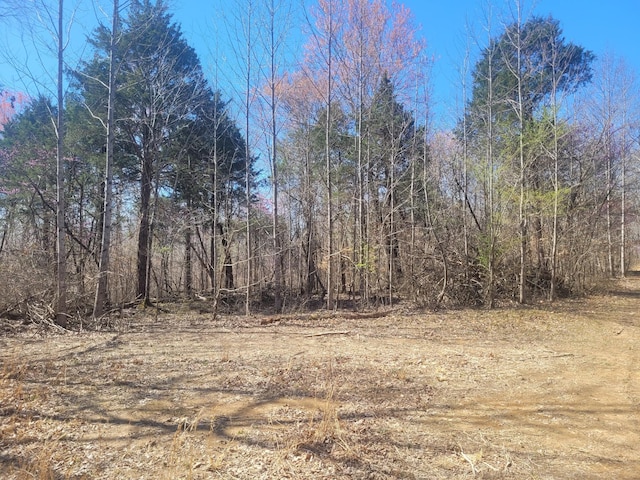 0 Reddon Xing, Charlotte, TN 37036 - photo 57