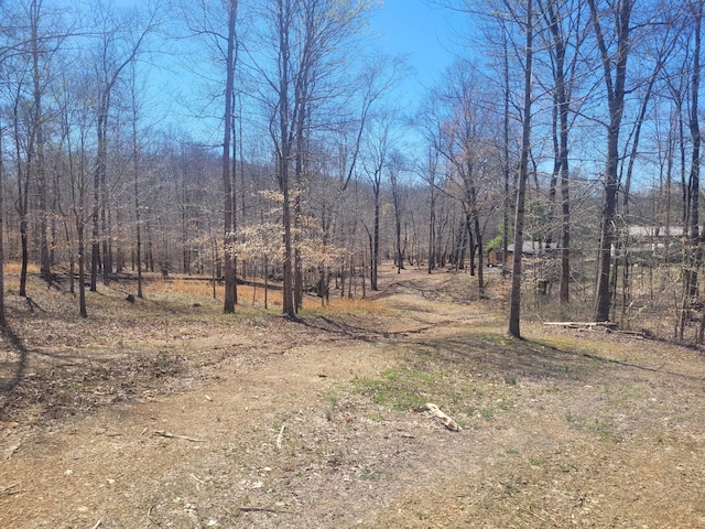 0 Reddon Xing, Charlotte, TN 37036 - photo 75