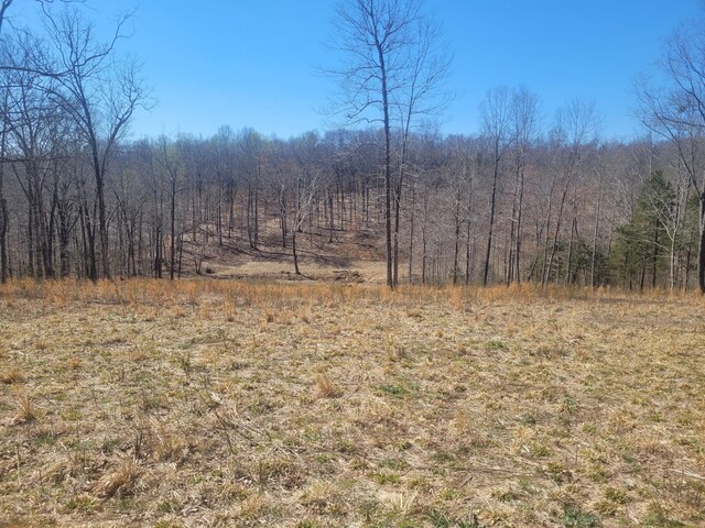 0 Reddon Xing, Charlotte, TN 37036 - photo 49