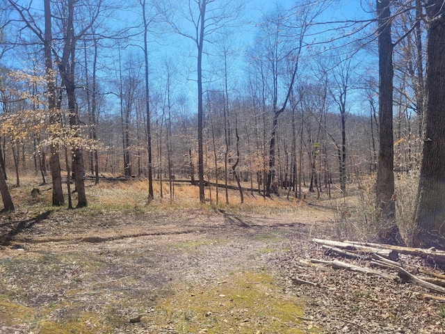 0 Reddon Xing, Charlotte, TN 37036 - photo 77