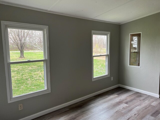511 Hall Leffew Rd, Franklin, KY 42134 - photo 6