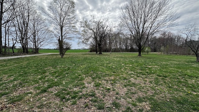 511 Hall Leffew Rd, Franklin, KY 42134 - photo 25