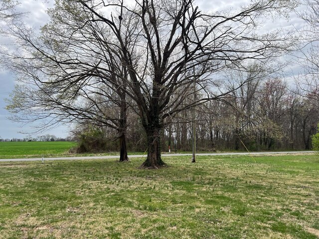 511 Hall Leffew Rd, Franklin, KY 42134 - photo 23