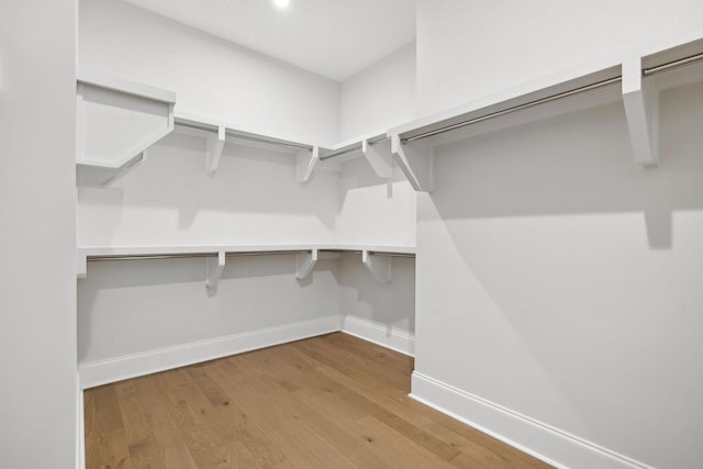 walk in closet featuring wood finished floors