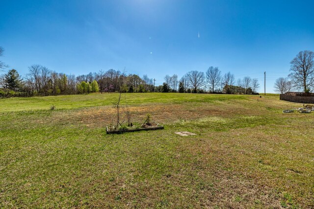 120 Granda Flora Dr, White House, TN 37188 - photo 31