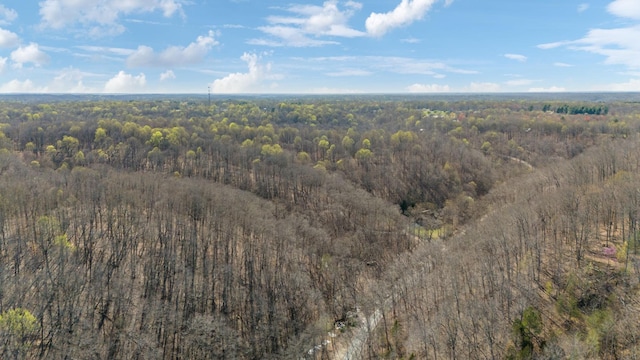3755 Bear Hollow Rd, Joelton, TN 37080 - aerial view with a view of trees