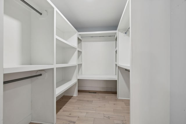 3755 Bear Hollow Rd, Joelton, TN 37080 - spacious closet featuring light wood finished floors