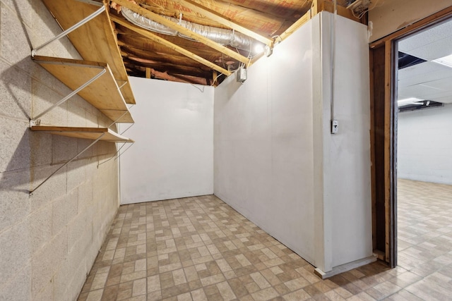 3755 Bear Hollow Rd, Joelton, TN 37080 - below grade area with concrete block wall