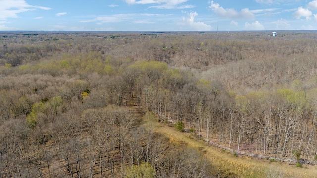 3755 Bear Hollow Rd, Joelton, TN 37080 - drone / aerial view