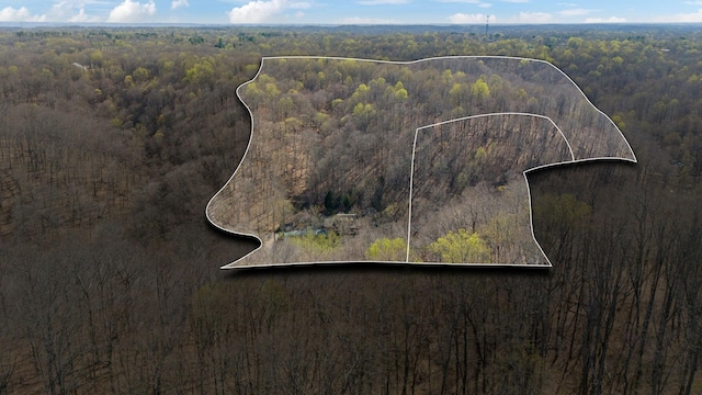 3755 Bear Hollow Rd, Joelton, TN 37080 - bird's eye view with a wooded view