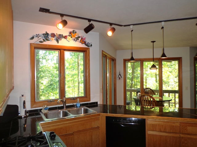 kitchen with decorative light fixtures, a sink, a healthy amount of sunlight, and black dishwasher