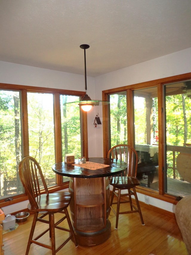 dining space featuring light wood-style floors