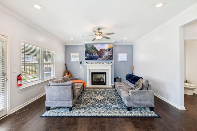 7403 Hemen Way, Fairview, TN 37062 - living area featuring baseboards, a fireplace, and crown molding