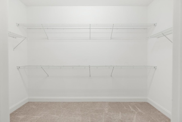 124 Day Star Ct, Gallatin, TN 37066 - walk in closet featuring carpet floors
