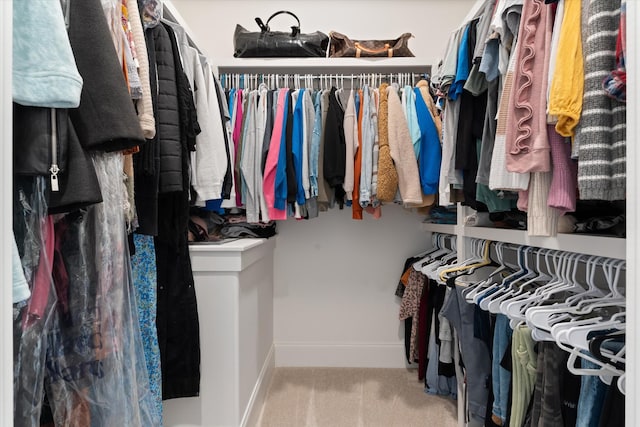1428 Boardwalk Pl, Gallatin, TN 37066 - spacious closet with carpet floors