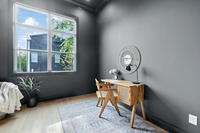 office space featuring wood finished floors and a wealth of natural light