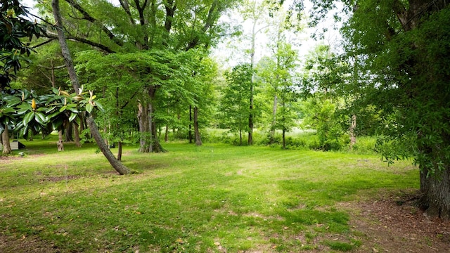 411 Whaley St, Smithville, TN 37166 - view of grassy yard