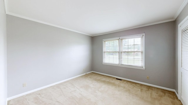 411 Whaley St, Smithville, TN 37166 - empty room with carpet floors, crown molding, and baseboards