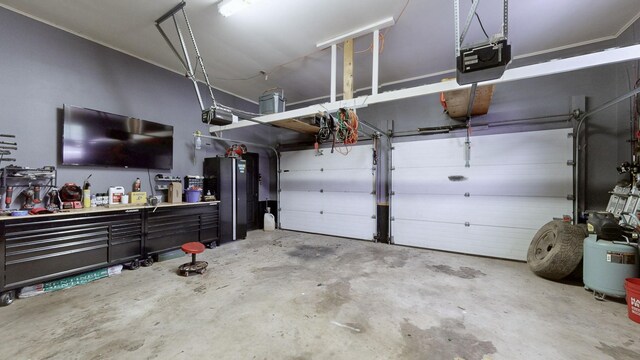 411 Whaley St, Smithville, TN 37166 - garage featuring a garage door opener and a workshop area