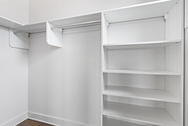 spacious closet featuring dark wood-style flooring